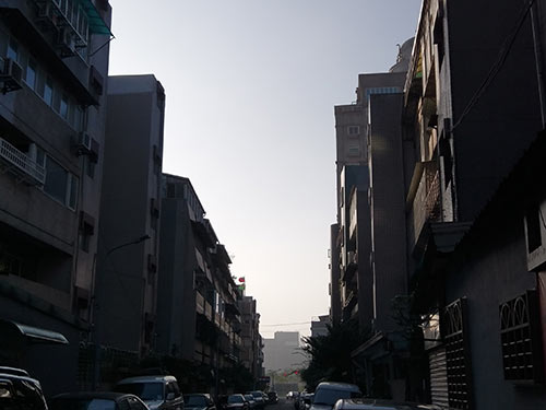 桃實百日青