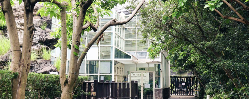 植物情報員