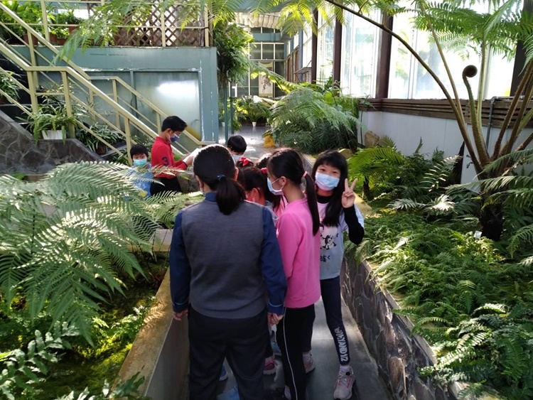 「植物園有老虎！」寒假活動(1/28)-圖片66