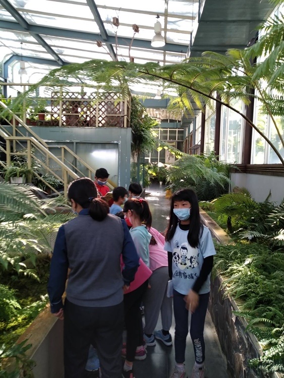 「植物園有老虎！」寒假活動(1/28)-圖片67