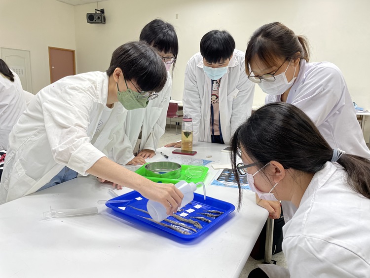 海獸學(8/28)-圖片9