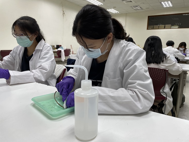 海獸學(8/28)-圖片14