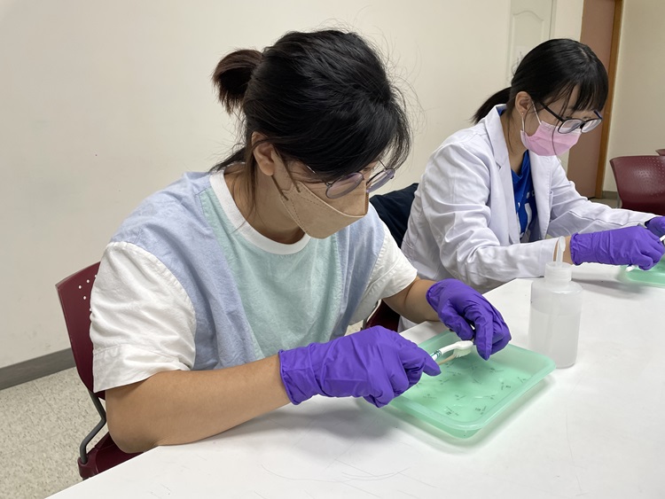 海獸學(8/28)-圖片15