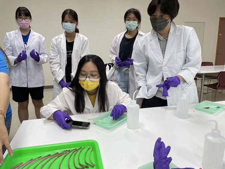 海獸學(8/28)-圖片21