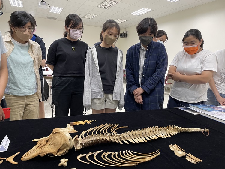 海獸學(8/28)-圖片22
