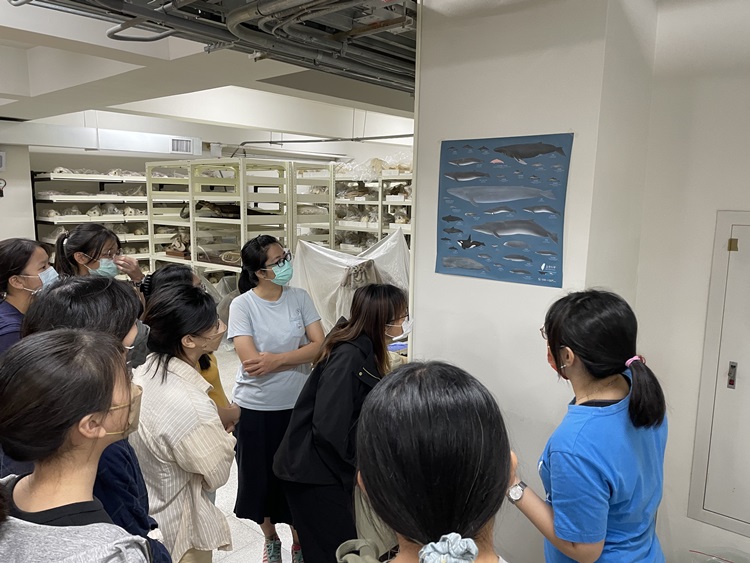 海獸學(8/28)-圖片23