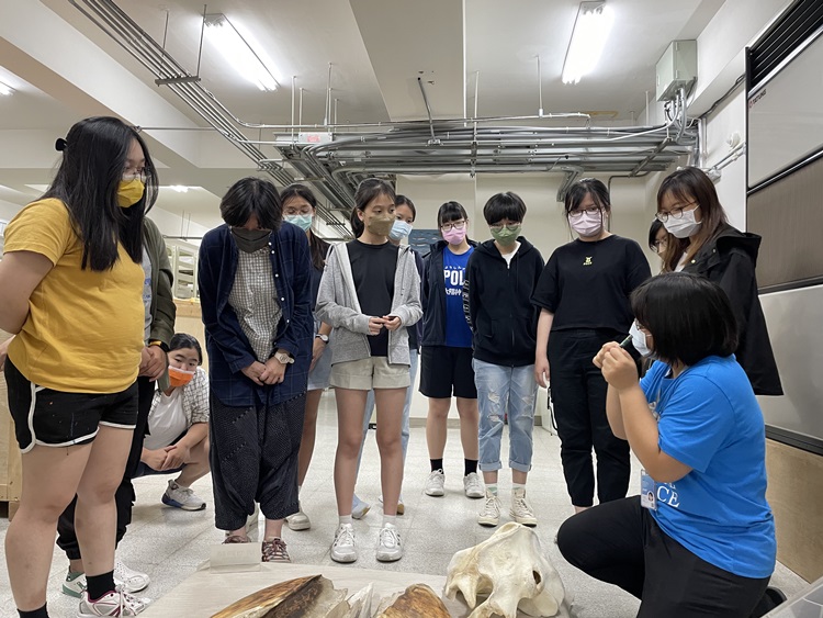 海獸學(8/28)-圖片36