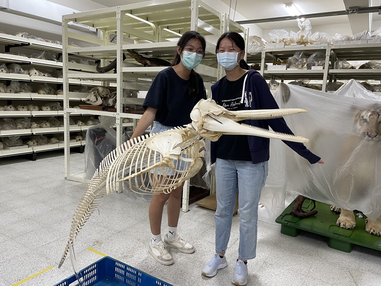 海獸學(8/28)-圖片48