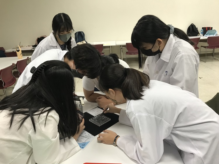 海獸學(8/28)-圖片55