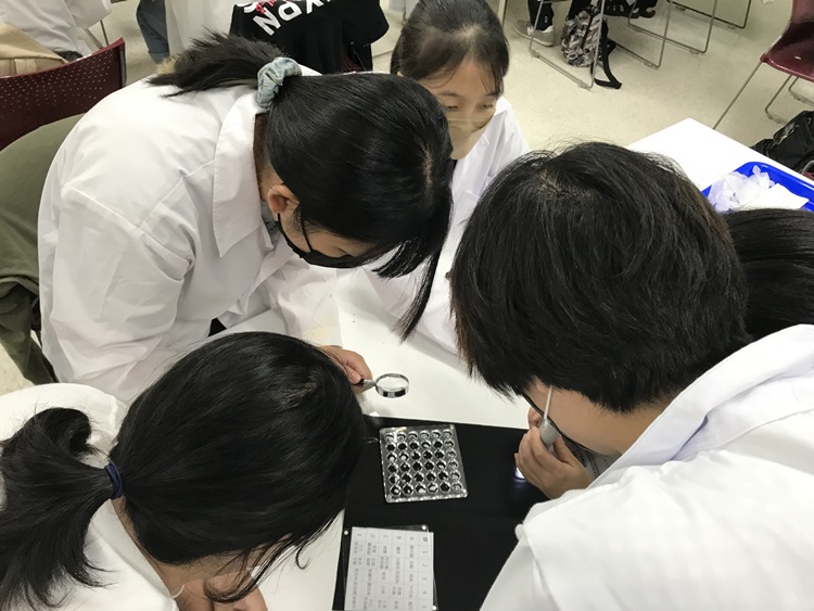 海獸學(8/28)-圖片56