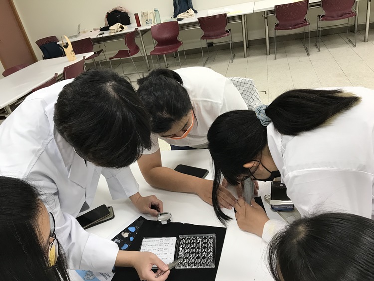 海獸學(8/28)-圖片59
