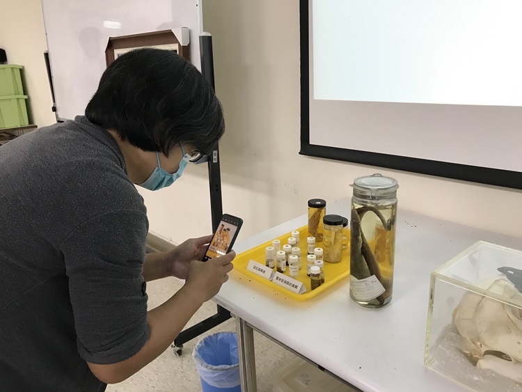 海獸學(8/28)-圖片61