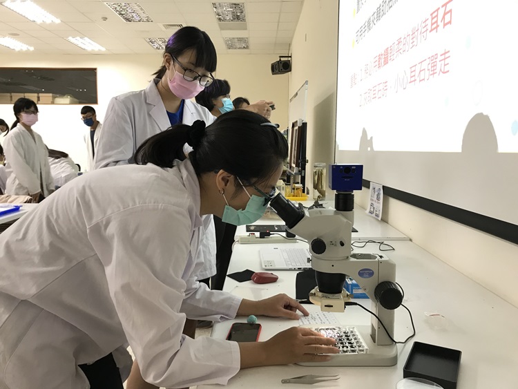 海獸學(8/28)-圖片63