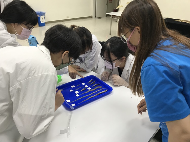 海獸學(8/28)-圖片68