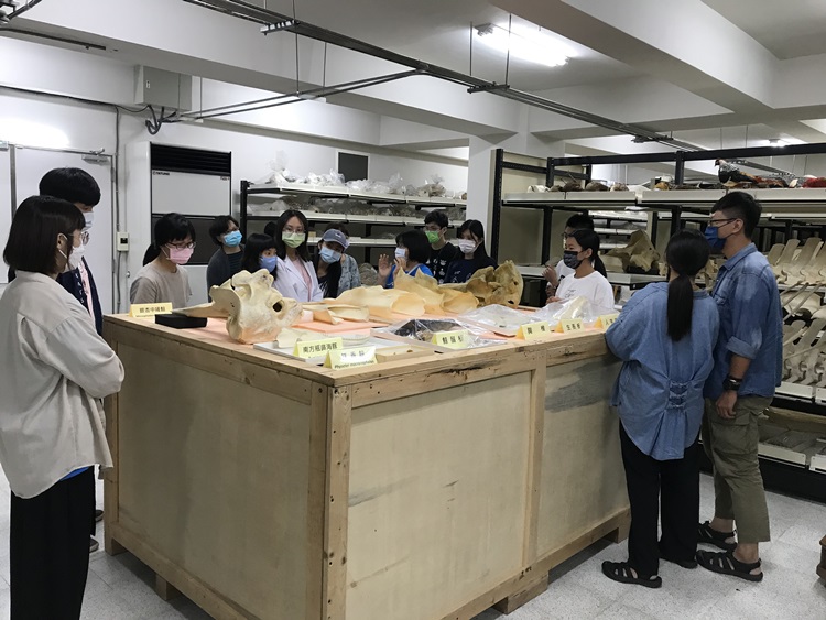 海獸學(8/28)-圖片70
