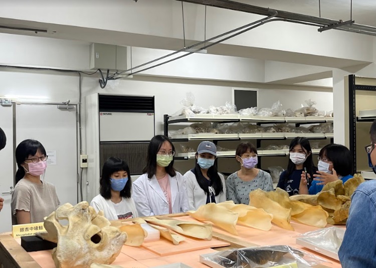海獸學(8/28)-圖片71