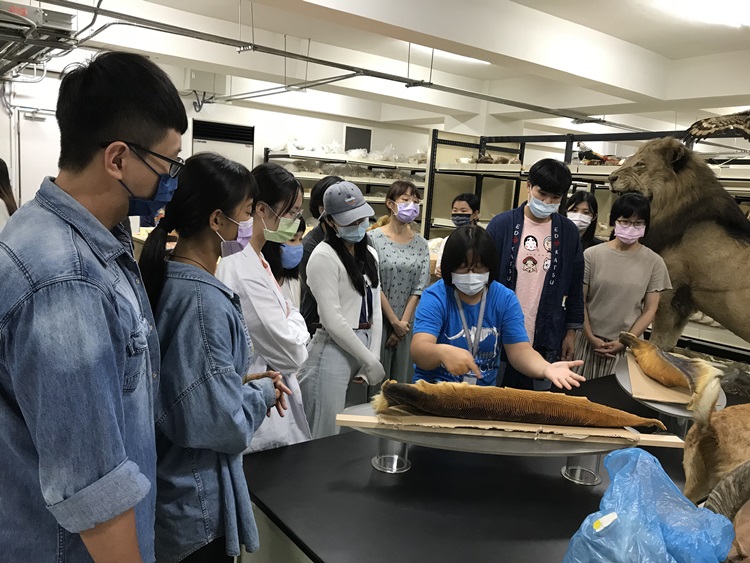 海獸學(8/28)-圖片74