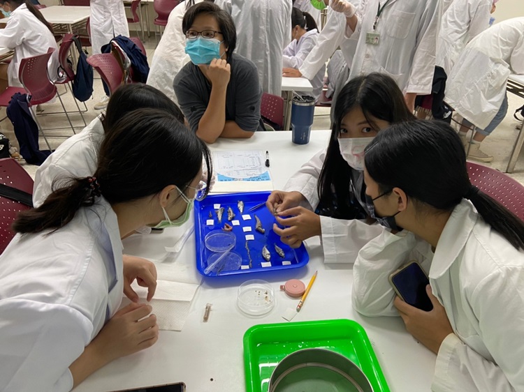 海獸學(8/28)-圖片89
