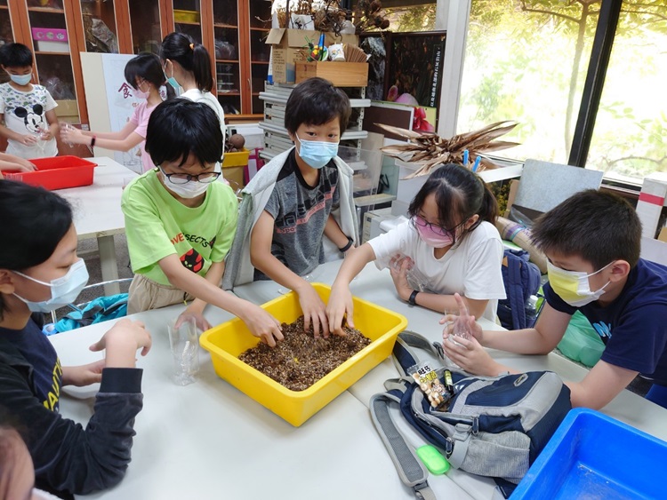 「墾丁－南海岸及台南菜寮化石園區自然探索」夏令營(7/17)-圖片42