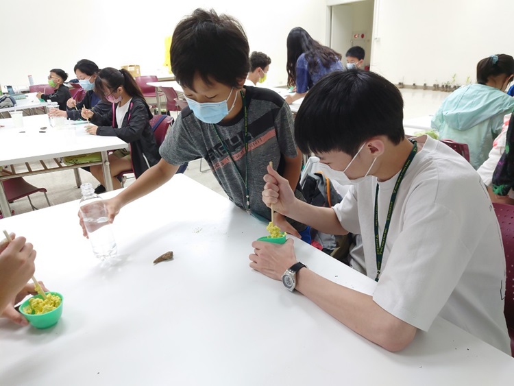 「墾丁－南海岸及台南菜寮化石園區自然探索」夏令營(7/17)-圖片164