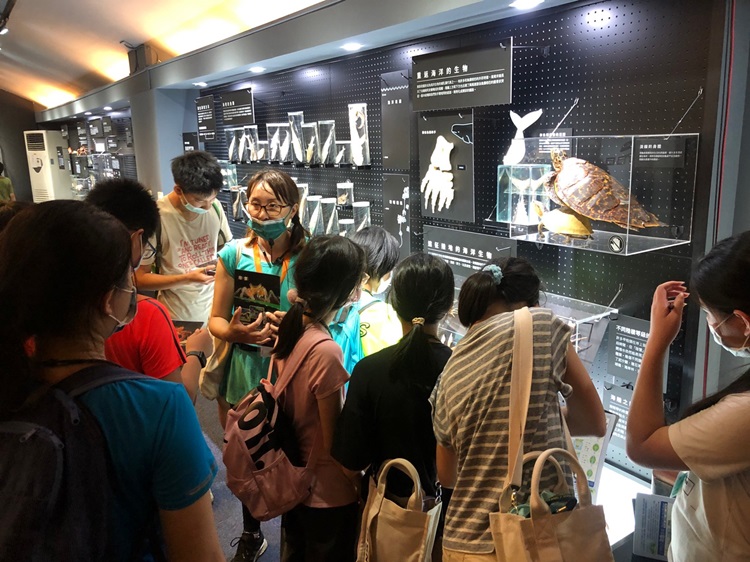 「墾丁－南海岸及台南菜寮化石園區自然探索」夏令營(7/18)-圖片33