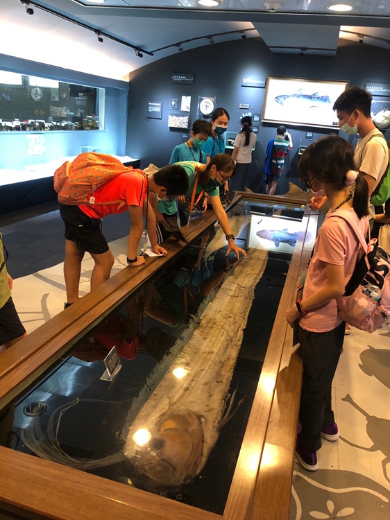 「墾丁－南海岸及台南菜寮化石園區自然探索」夏令營(7/18)-圖片34