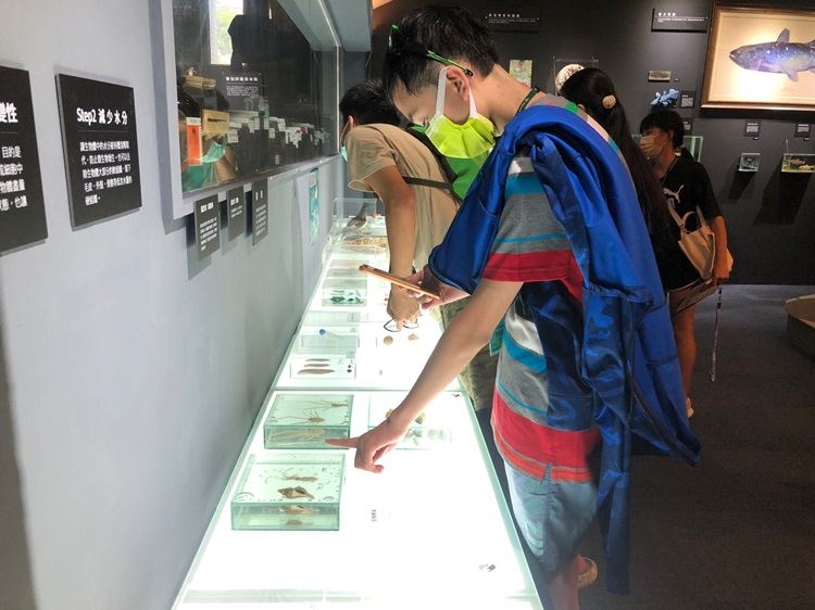 「墾丁－南海岸及台南菜寮化石園區自然探索」夏令營(7/18)-圖片38