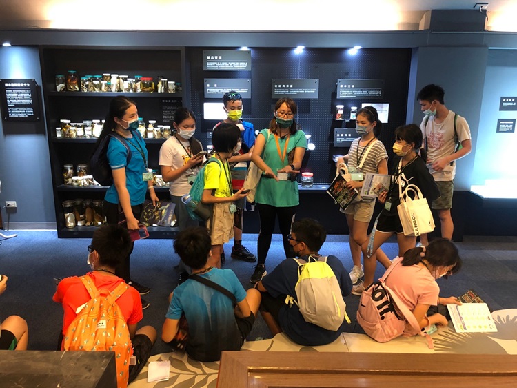 「墾丁－南海岸及台南菜寮化石園區自然探索」夏令營(7/18)-圖片39