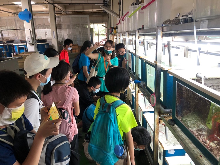 「墾丁－南海岸及台南菜寮化石園區自然探索」夏令營(7/18)-圖片40
