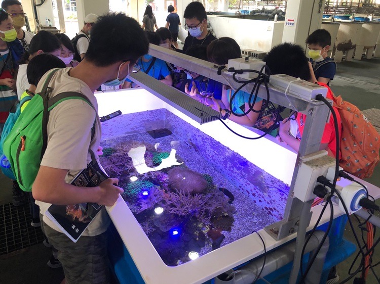 「墾丁－南海岸及台南菜寮化石園區自然探索」夏令營(7/18)-圖片42