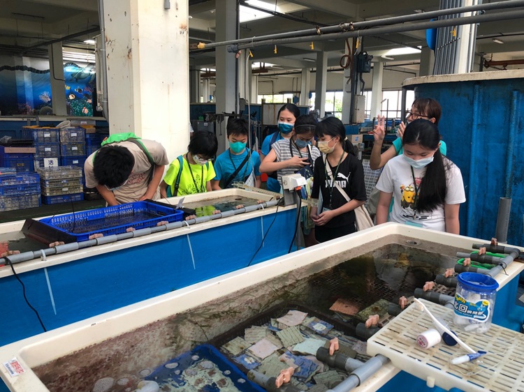 「墾丁－南海岸及台南菜寮化石園區自然探索」夏令營(7/18)-圖片43