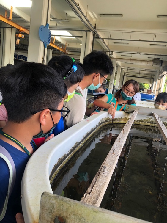 「墾丁－南海岸及台南菜寮化石園區自然探索」夏令營(7/18)-圖片44