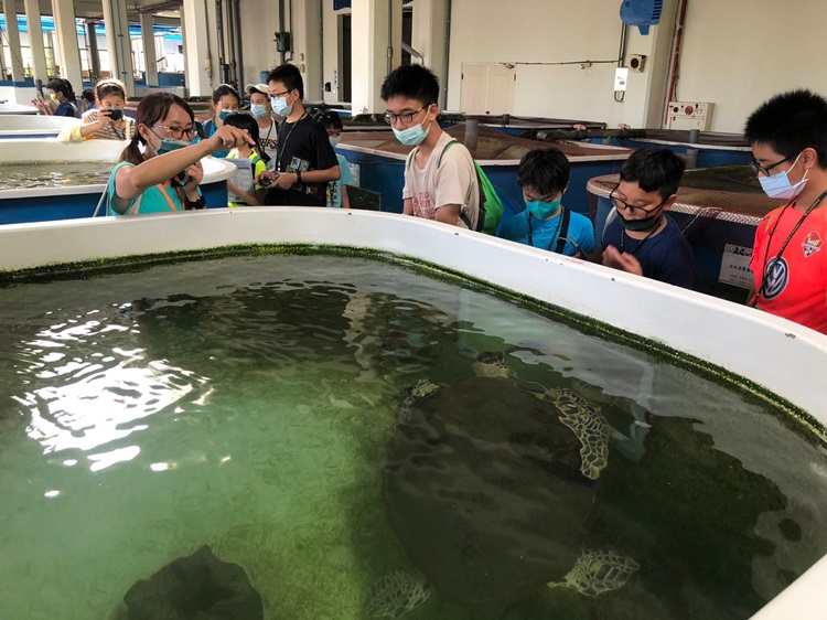 「墾丁－南海岸及台南菜寮化石園區自然探索」夏令營(7/18)-圖片47