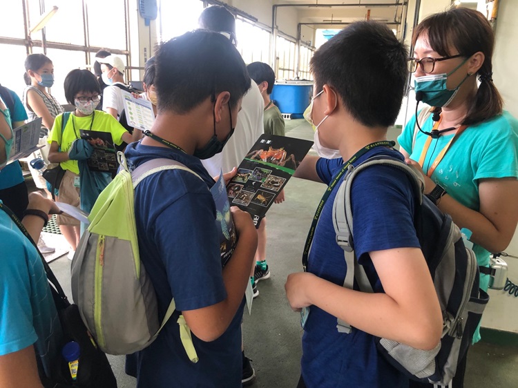「墾丁－南海岸及台南菜寮化石園區自然探索」夏令營(7/18)-圖片53