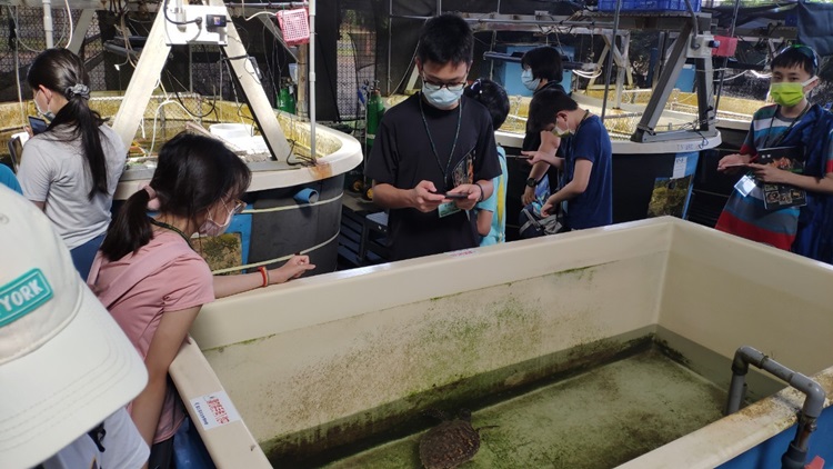 「墾丁－南海岸及台南菜寮化石園區自然探索」夏令營(7/18)-圖片64