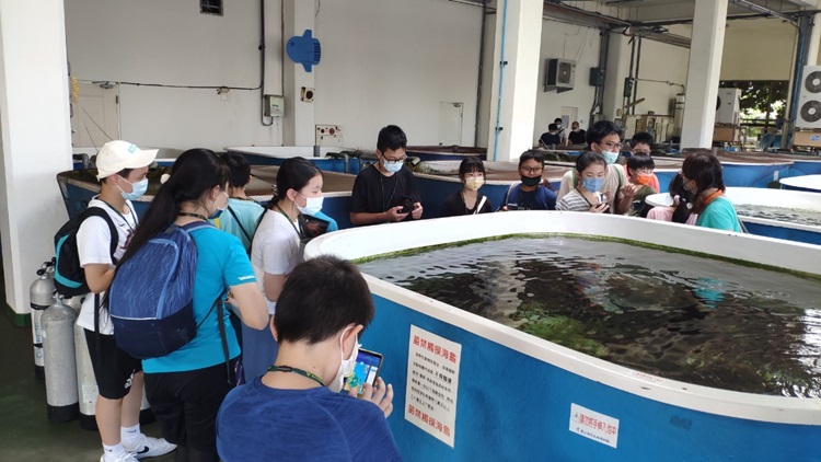 「墾丁－南海岸及台南菜寮化石園區自然探索」夏令營(7/18)-圖片67