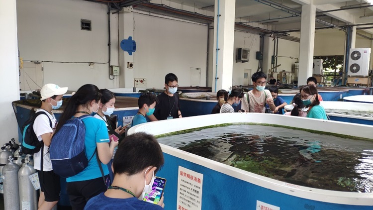「墾丁－南海岸及台南菜寮化石園區自然探索」夏令營(7/18)-圖片68