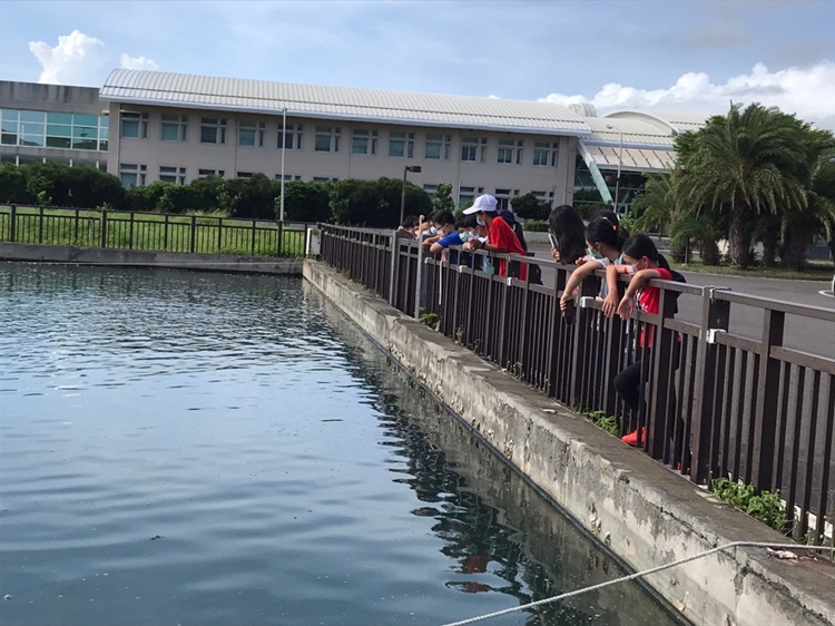 「墾丁－南海岸及台南菜寮化石園區自然探索」夏令營(7/18)-圖片79