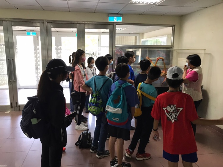 「墾丁－南海岸及台南菜寮化石園區自然探索」夏令營(7/18)-圖片80