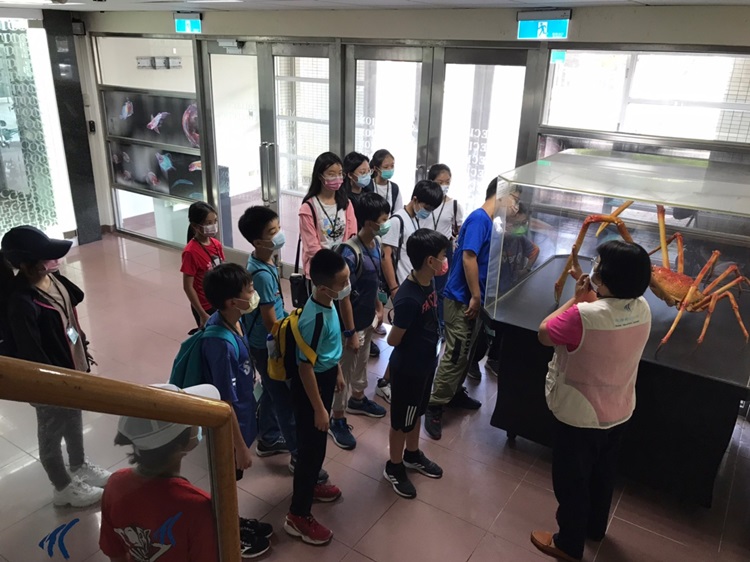 「墾丁－南海岸及台南菜寮化石園區自然探索」夏令營(7/18)-圖片81