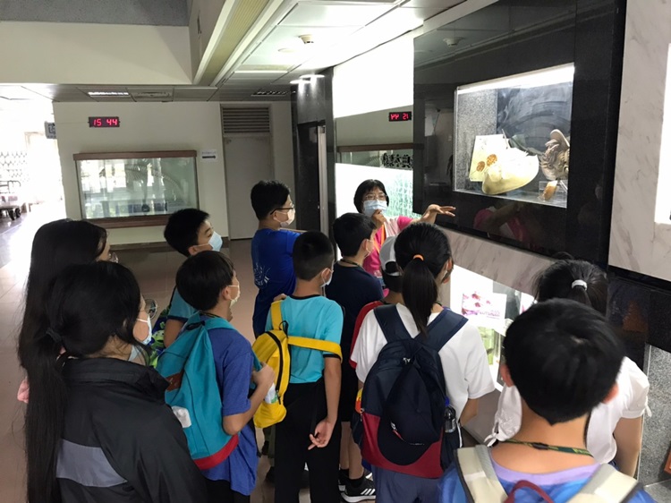 「墾丁－南海岸及台南菜寮化石園區自然探索」夏令營(7/18)-圖片84