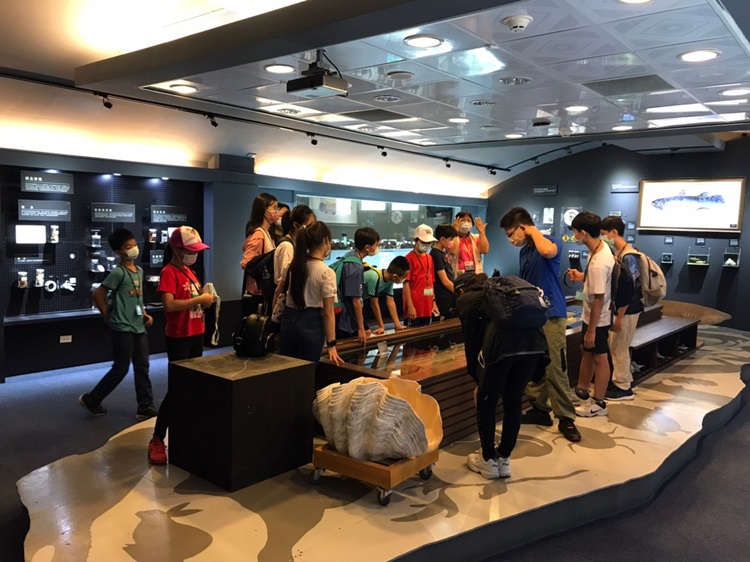「墾丁－南海岸及台南菜寮化石園區自然探索」夏令營(7/18)-圖片86
