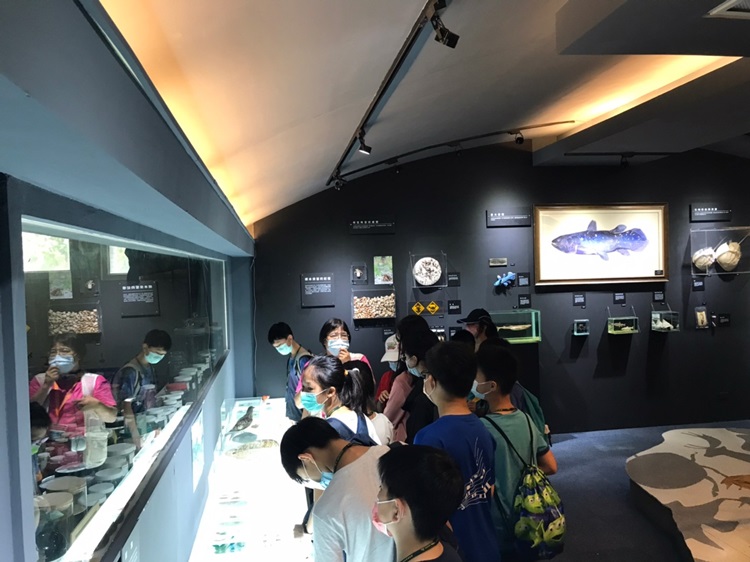 「墾丁－南海岸及台南菜寮化石園區自然探索」夏令營(7/18)-圖片88