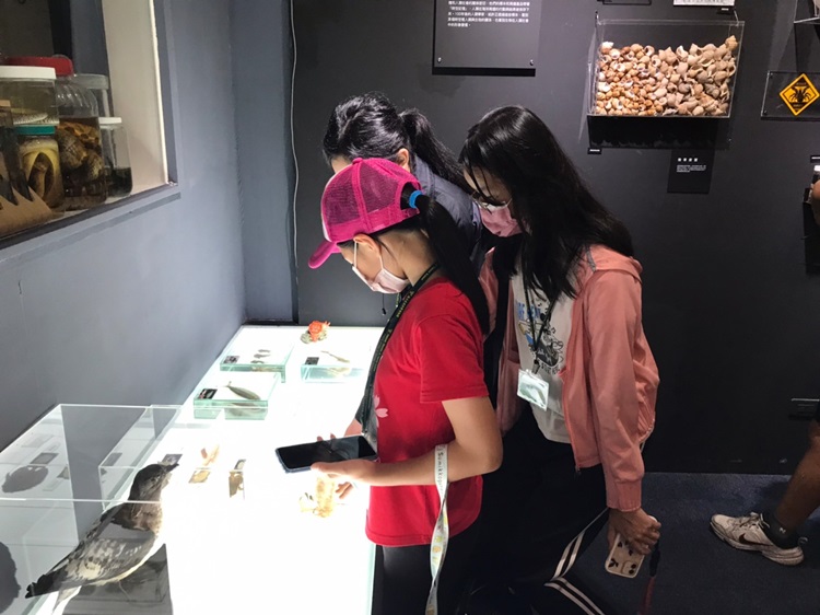 「墾丁－南海岸及台南菜寮化石園區自然探索」夏令營(7/18)-圖片89