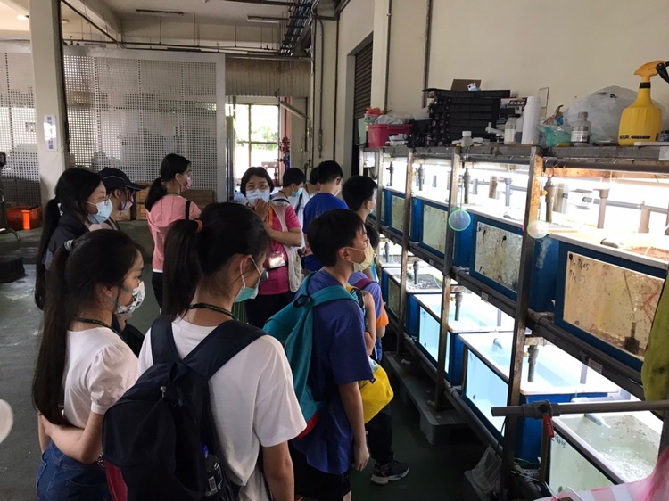 「墾丁－南海岸及台南菜寮化石園區自然探索」夏令營(7/18)-圖片93