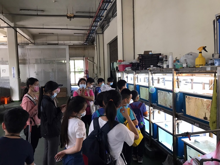 「墾丁－南海岸及台南菜寮化石園區自然探索」夏令營(7/18)-圖片95