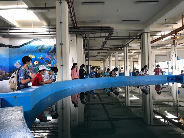 「墾丁－南海岸及台南菜寮化石園區自然探索」夏令營(7/18)-圖片98