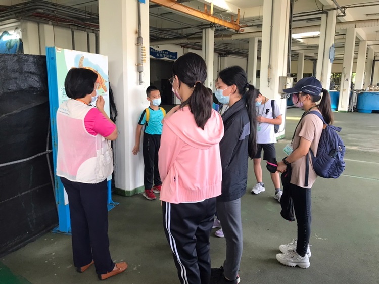 「墾丁－南海岸及台南菜寮化石園區自然探索」夏令營(7/18)-圖片99