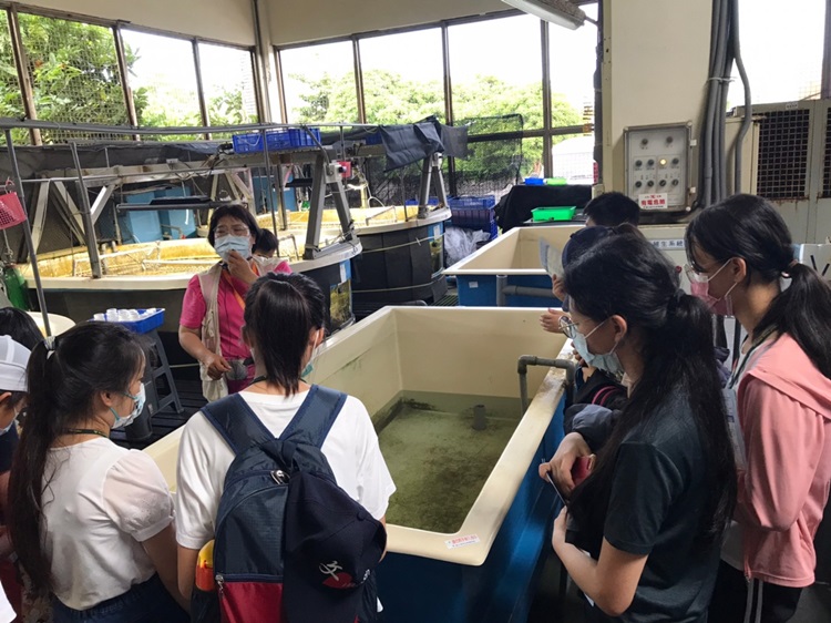 「墾丁－南海岸及台南菜寮化石園區自然探索」夏令營(7/18)-圖片101
