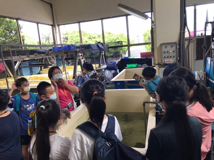 「墾丁－南海岸及台南菜寮化石園區自然探索」夏令營(7/18)-圖片102